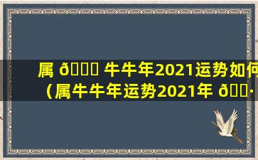 属 🐟 牛牛年2021运势如何（属牛牛年运势2021年 🌷 运势12生肖）